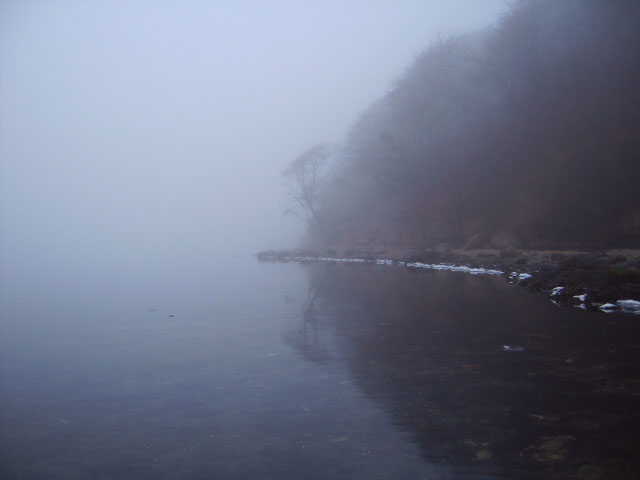 Quellental im Nebel