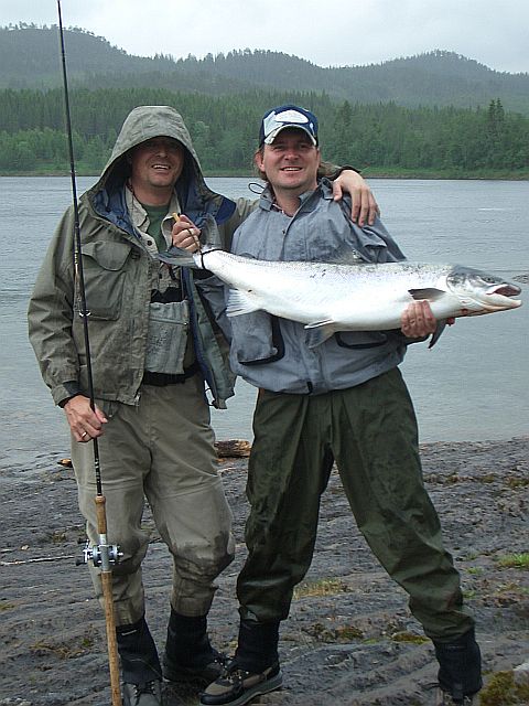 12,5 Kg Lachs