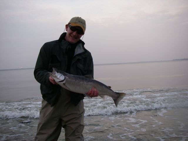 Salmonkings 74er