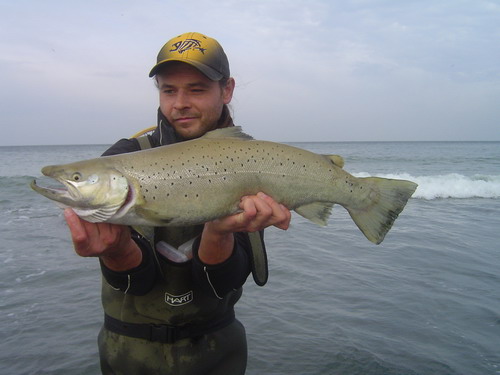 Schicker Aufsteiger!