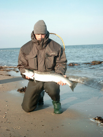 Fisch vom 6. Feb.2005