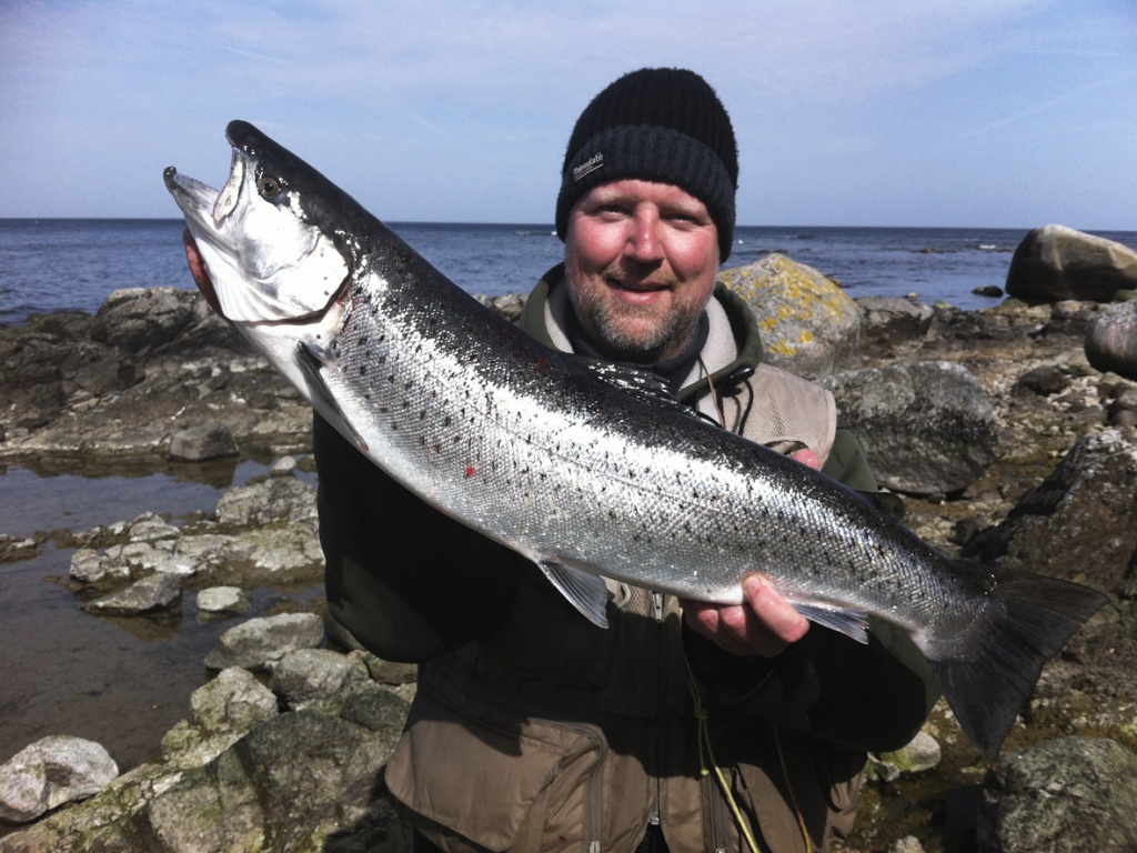 Nordküste Bornholm, April 2013, 74 cm