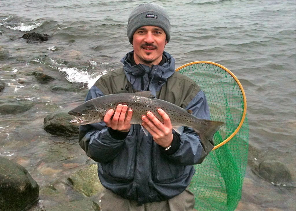 Meerforelle 61cm 11.3.2012