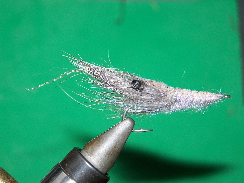 Palaemon adspersus trocken :D