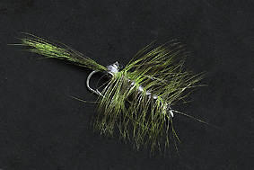 Fliege in grün