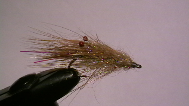 grünbraune Glitzergarnele