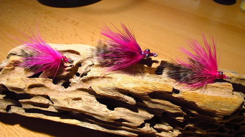 -Polar-Marabou-Magnus