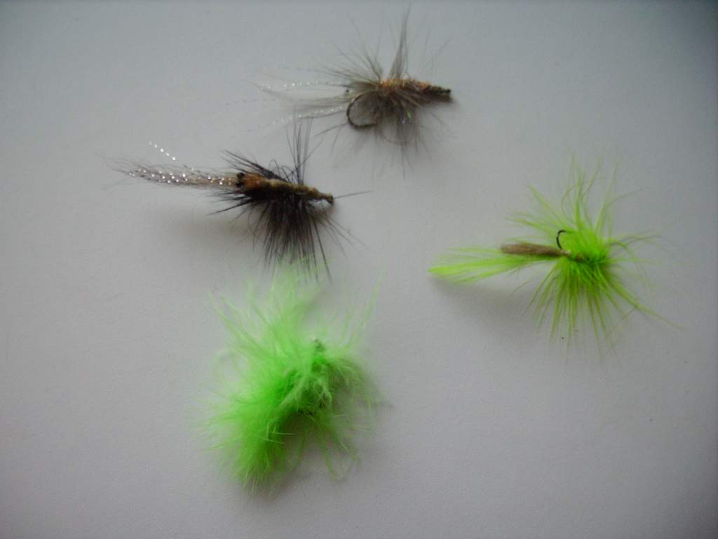 Nordfansfirstflys