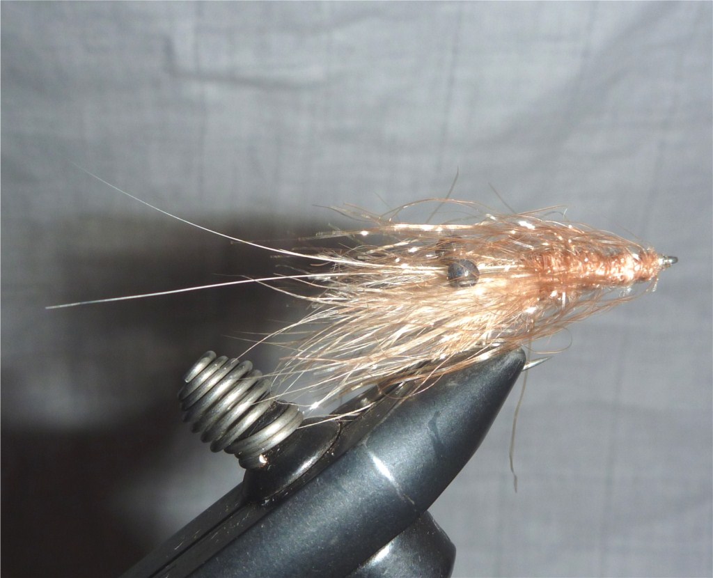 Polarchenille Shrimp