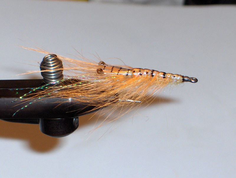 Spey-Shrimp orange-tan