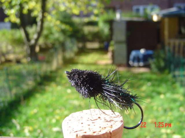 Fliegen im Dunkeln