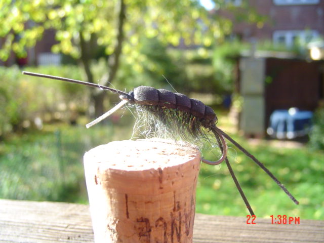 Fliege für die Spätere Stunde