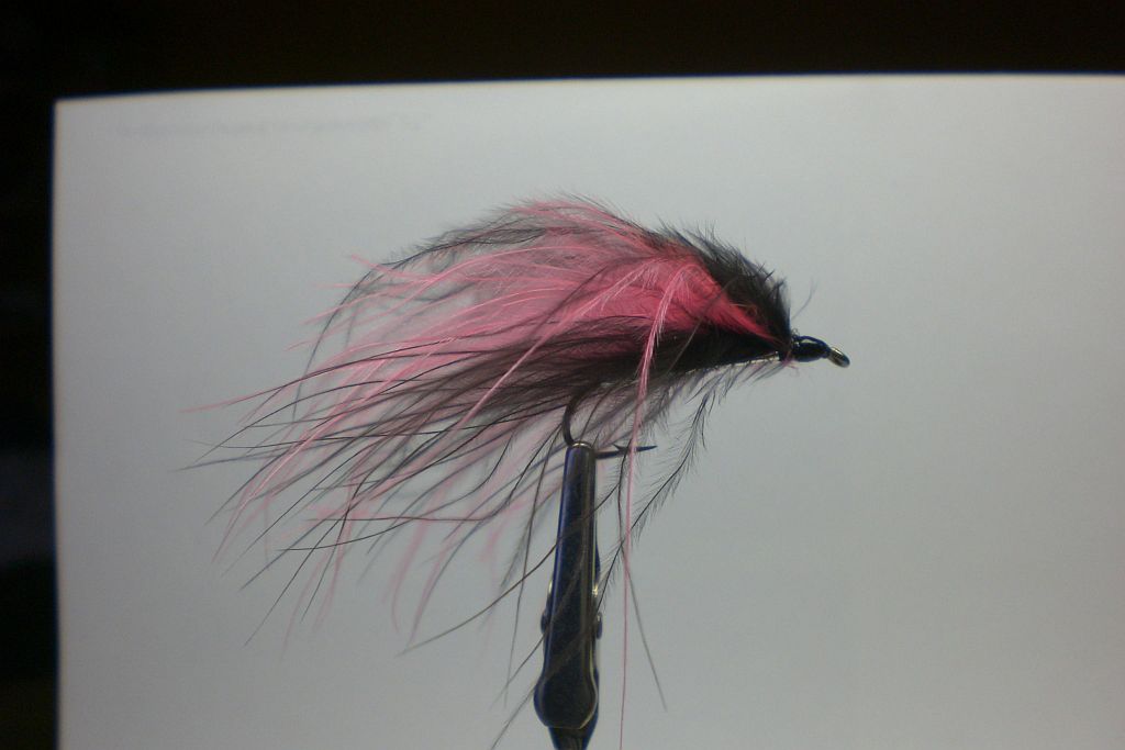 Marabou