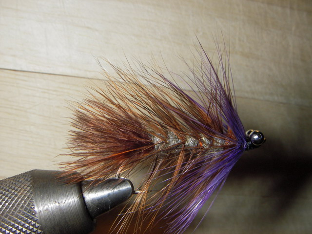 Pm in braun II