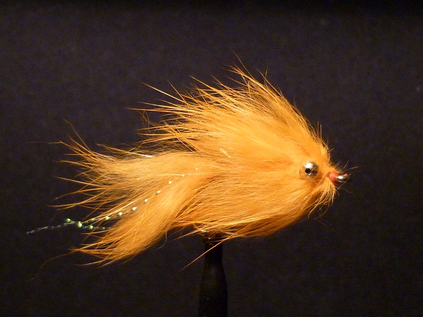 Secret Orange