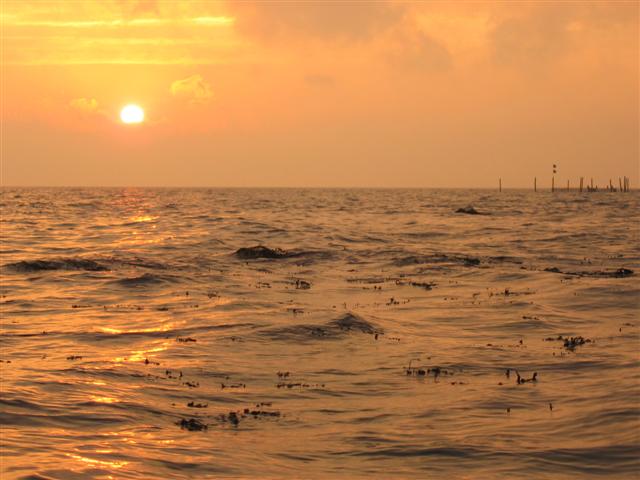 Sonnenuntergang Herbst 05