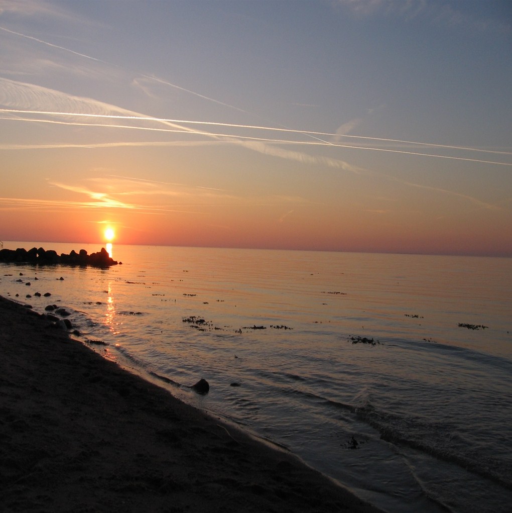 Hasmark 2010