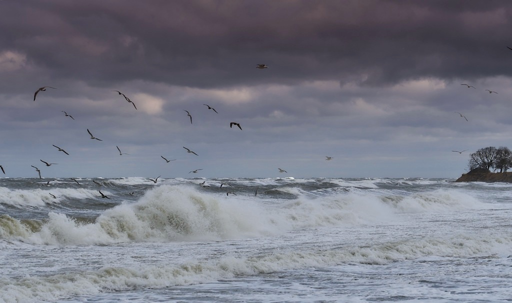 Frühjahrssturm auf Fehmarn