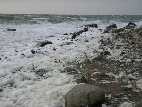 Staberhuk mit Schaum