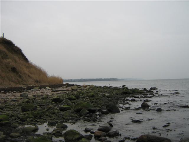 Habernis