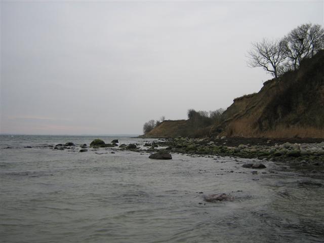 Habernis