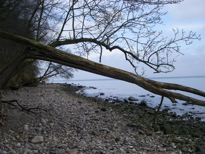 Strand auf Als