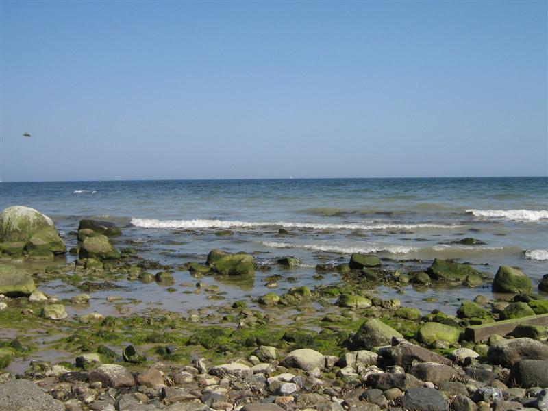 FL-Aussenförde