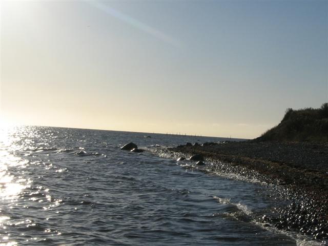 gammelpol