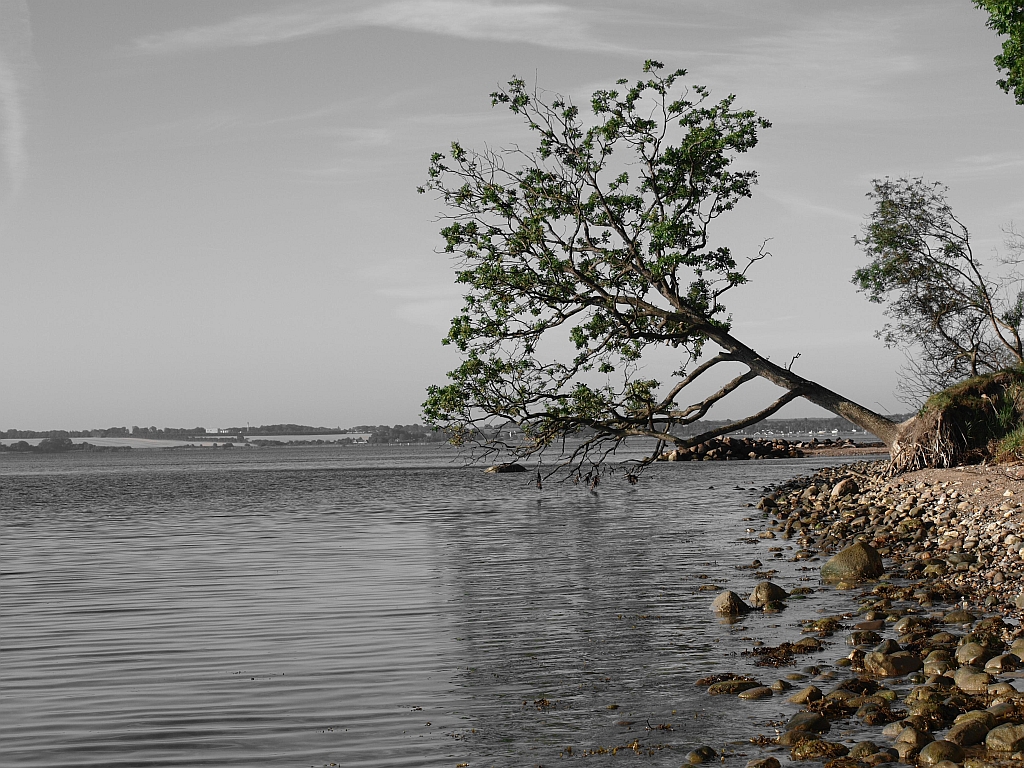 Pøt strand