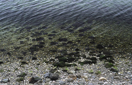 Kertemindebucht-Molleskov