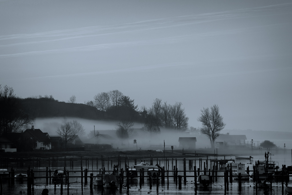 Genner Bucht im Nebel