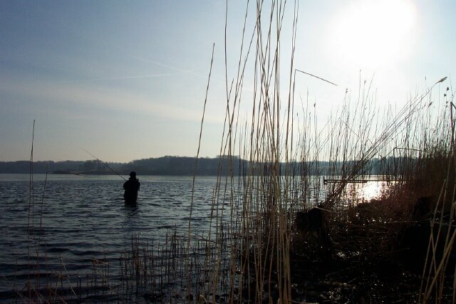 Genner Bucht