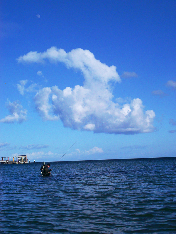 Fischen unterm Mond