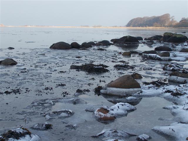 Aschaubucht im Frostzustand