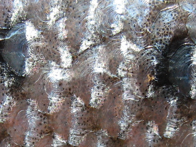 Mal im Detail 2