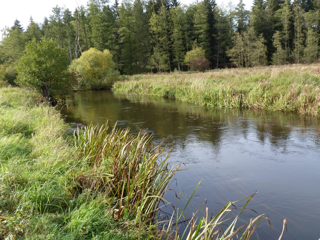 Örtze, Südheide