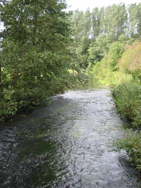 Schwale bei Neumünster