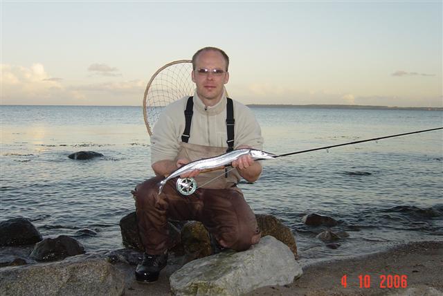 68er Horni auf Flieche bei Booknis...