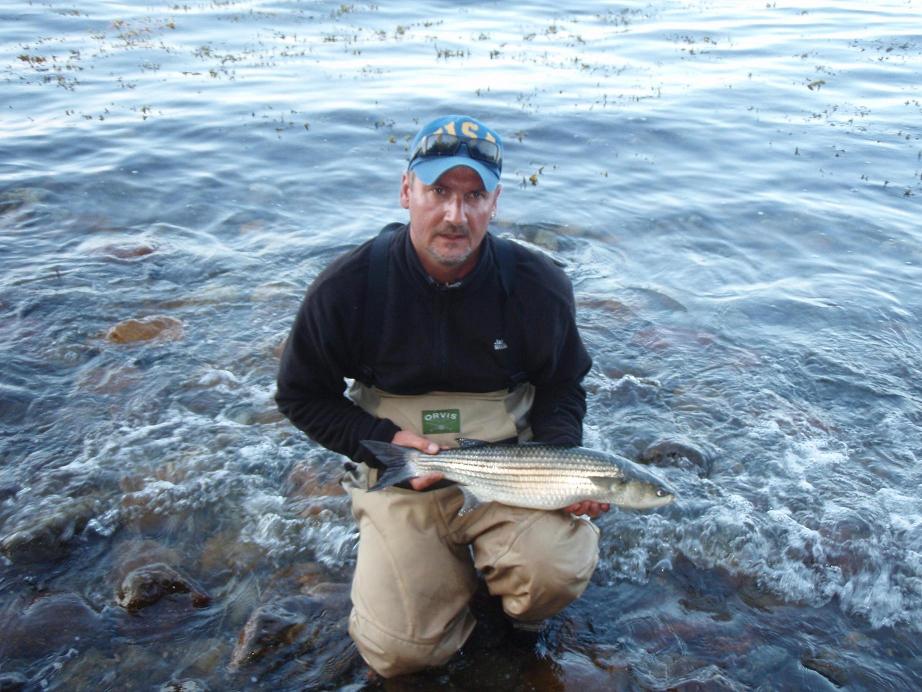 Meeräsche 65cm Juni 09