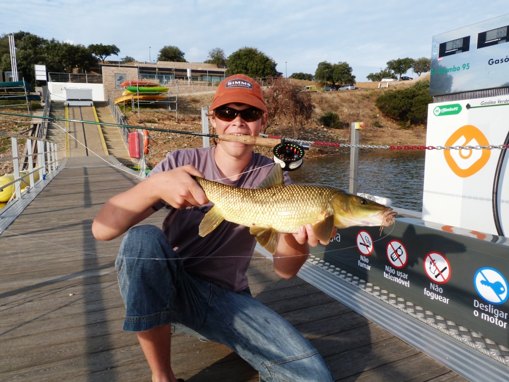 Spanische Riesenbarbe on Fly!