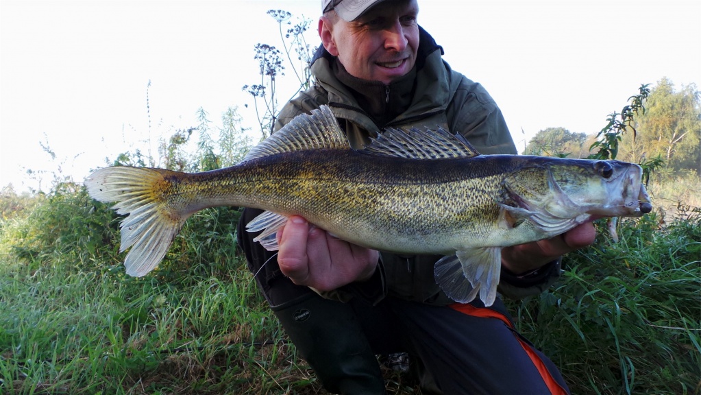 Er liebt den Zander (-: