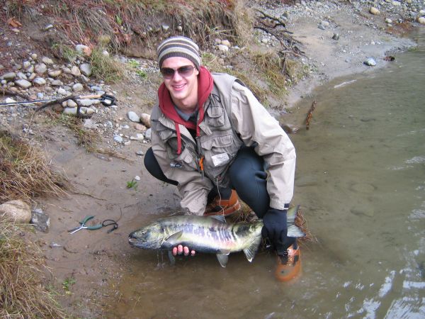 Hundslachs in Canada