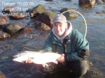 78 er,4325 g Kieler Bucht 78 er,4325 g Kieler Bucht