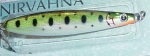RT Nirvahna (4) RT Nirvahna (4)