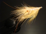 leckere Shrimp