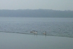Genner Bucht 1 Genner Bucht 1