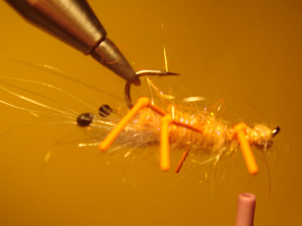 Honey Shrimp - eine Bindeanleitung von Jelle - Schritt 10