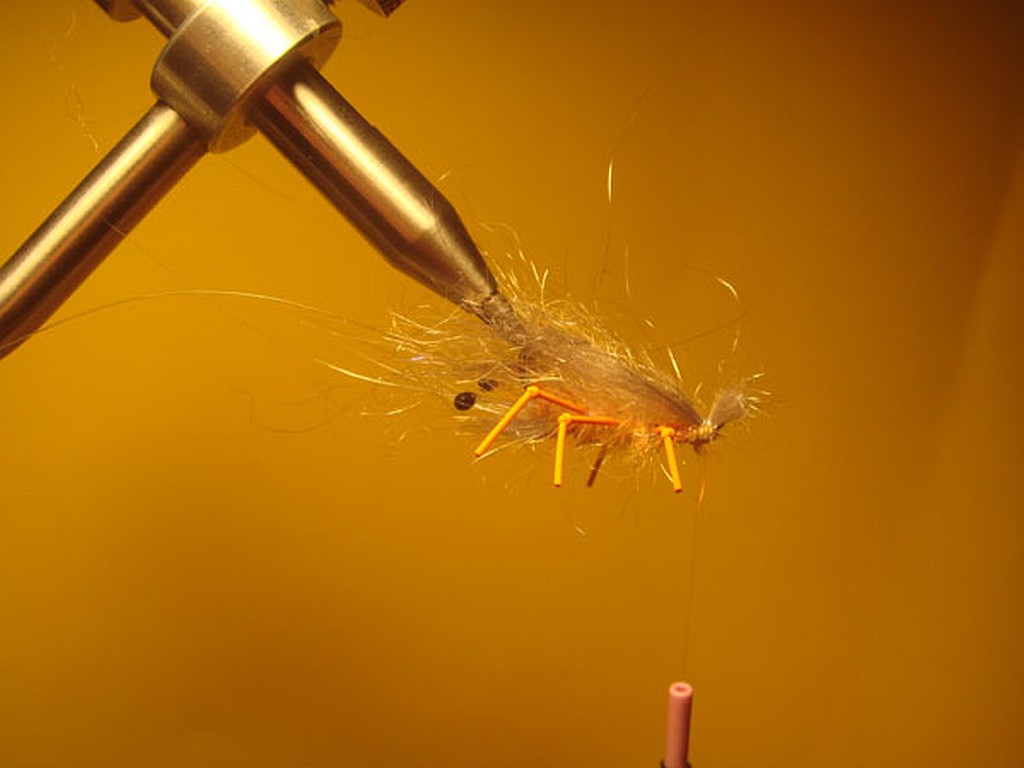Honey Shrimp - eine Bindeanleitung von Jelle - Schritt 11