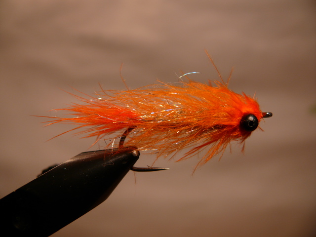 Oranger CDC Streamer - Schritt 9